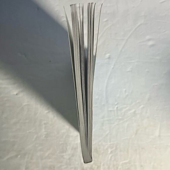 The Joy Luck Club - Spark notes Study Guide Book - Picture 4 of 6